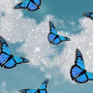 Meet your Posher, Sophia